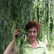 ���������� ����, ���� ������� �������, 70 ���, ������������ ��� ������