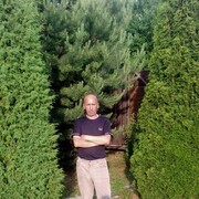 ���������� �����, ���� ������� ����, 50 ���, ������������ ��� ������, ����� � ���������, c�������� ���������