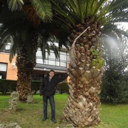 ���������� �����, ���� ������� ���������, 50 ���, ������������ ��� ������, ����� � ���������, c�������� ���������