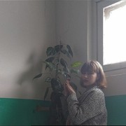  ,   , 24 ,   ,   , c 