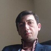  ,  Bizon, 41