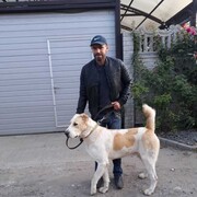  ,   , 44 ,   ,   , c 