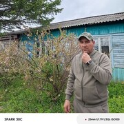  ,   Ш, 38 ,     , c 