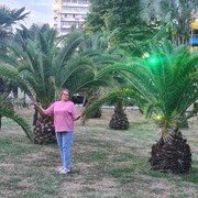  ,   , 52 ,   ,   , c , 