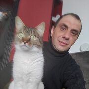  ,   , 41 ,   ,   