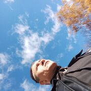 ���������� ���������, ���� ������� ������, 28 ���, ������������ ��� ������, ����� � ���������