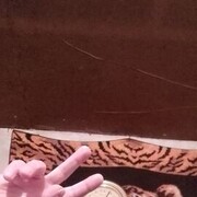 ���������� �������, ���� ������� Levani, 47 ���, ������������ ��� ������, ����� � ���������