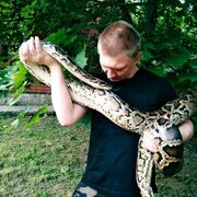 ���������� ������, ���� ������� ���������, 33 ����, ������������ ��� ����� � ���������, c�������� ���������