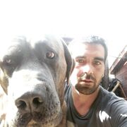 ���������� ������, ���� ������� �����, 38 ���, ������������ ��� c�������� ���������