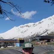 ���������� ����������, ���� ������� �����, 38 ���, ������������ ��� ������, ����� � ���������