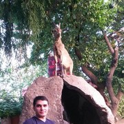  ,   Aram, 34 ,     , c 