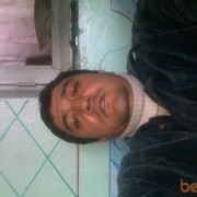  ,   Mumin, 44 ,     , c 