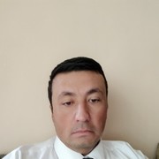  ,   , 51 ,  
