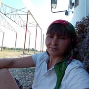  ,   , 44 ,   ,   