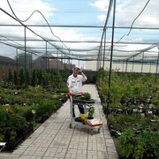  ,   , 56 ,   ,   