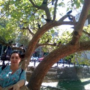 ���������� ��������, ���� ������� �����, 47 ���, ������������ ��� ������, ����� � ���������, c�������� ���������