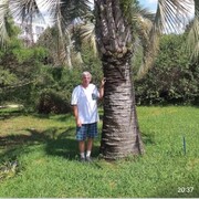  ,   , 65 ,     , c 