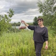 ���������� �����, ���� ������� ��������, 54 ����, ������������ ��� ������, ����� � ���������, c�������� ���������