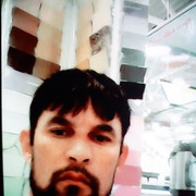  -,   , 51 ,   ,   , c 