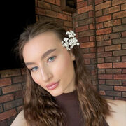 ���������� ���������, ���������