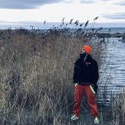 ���������� ������, ���� ������� ����, 38 ���, ������������ 