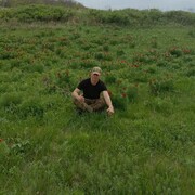 ���������� �������, ���� ������� ��������, 35 ���, ������������ ��� ������, ����� � ���������, c�������� ���������