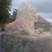  ,   , 36 ,   ,   , c 