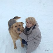  ,   , 47 ,  