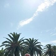 ���������� ����, ���� ������� ��������, 50 ���, ������������ ��� ������, ����� � ���������, c�������� ���������, ���������