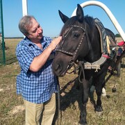 ���������� �����, ���� ������� ����, 68 ���, ������������ ��� ���������