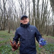 ���������� ����������, ���� ������� ����, 38 ���, ������������ ��� ������, ����� � ���������, c�������� ���������, ���������