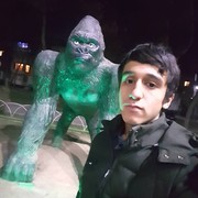 ���������� �������, ���� ������� ����� ����, 27 ���, ������������ ��� ������, ����� � ���������, c�������� ���������