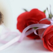  Karlshamn,   , 34 ,   