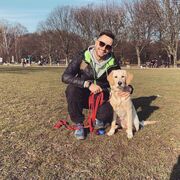 ���������� ���������, ���� ������� �����, 33 ����, ������������ ��� ������, ����� � ���������, c�������� ���������, ���������