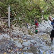 ���������� ����������, ���� ������� ������, 36 ���, ������������ ��� ������, ����� � ���������, c�������� ���������