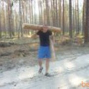 ���������� �����������, ���� ������� �����1986666, 39 ���, ������������ ��� ������, ����� � ���������, c�������� ���������