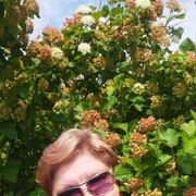  ,   , 52 ,   c 
