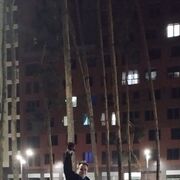 ���������� �������, ���� ������� ����, 41 ���, ������������ ��� c�������� ���������