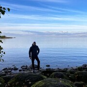 ���������� �����-���������, ���� ������� �����, 43 ����, ������������ ��� ����� � ���������, c�������� ���������