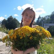 ���������� �����-���������, ���� ������� ������, 23 ����, ������������ ��� ����� � ���������, c�������� ���������