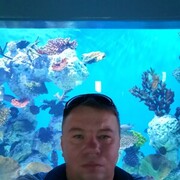 ���������� �����������, ���� ������� ������, 46 ���, ������������ ��� ������, ����� � ���������, c�������� ���������, ���������