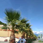  -,   , 44 ,   ,   , c 
