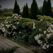 ���������� ����-�������, ���� ����� Artem, 25 ���, ������������ ��� ������, ����� � ���������