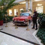 ���������� ��������, ���� ������� �������, 43 ����, ������������ ��� ������, ����� � ���������, c�������� ���������, ���������