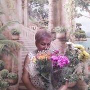  ,   , 65 ,   ,   
