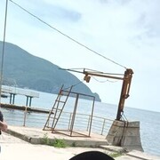  ,   Semen, 31 ,   ,   , 