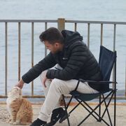  Mercin,   Falcon, 32 ,   ,   