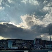 ���������� ����, ���� ������� Pervin, 36 ���, ������������ ��� ������, ����� � ���������, c�������� ���������