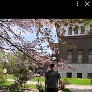 ���������� ���������, ���� ������� ��������, 41 ���, ������������ ��� c�������� ���������