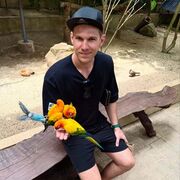 ���������� ���������, ���� ������� �������, 31 ���, ������������ ��� ������, ����� � ���������, c�������� ���������, ���������